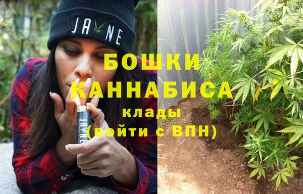 гидра Белоозёрский