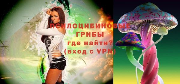гидра Белоозёрский
