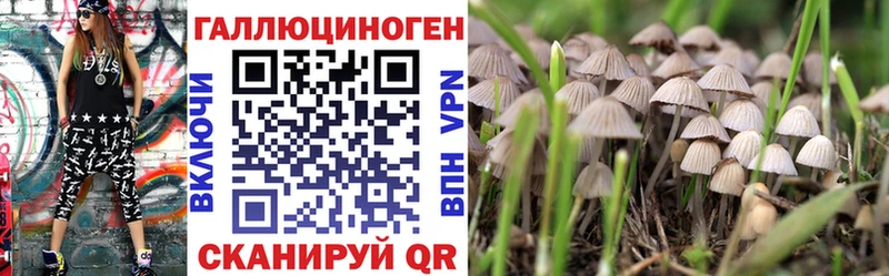 купить закладку  Котово  Галлюциногенные грибы Magic Shrooms 
